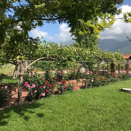 Alma Migrante Bed&Wine Hotel Telese Terme ภายนอก รูปภาพ