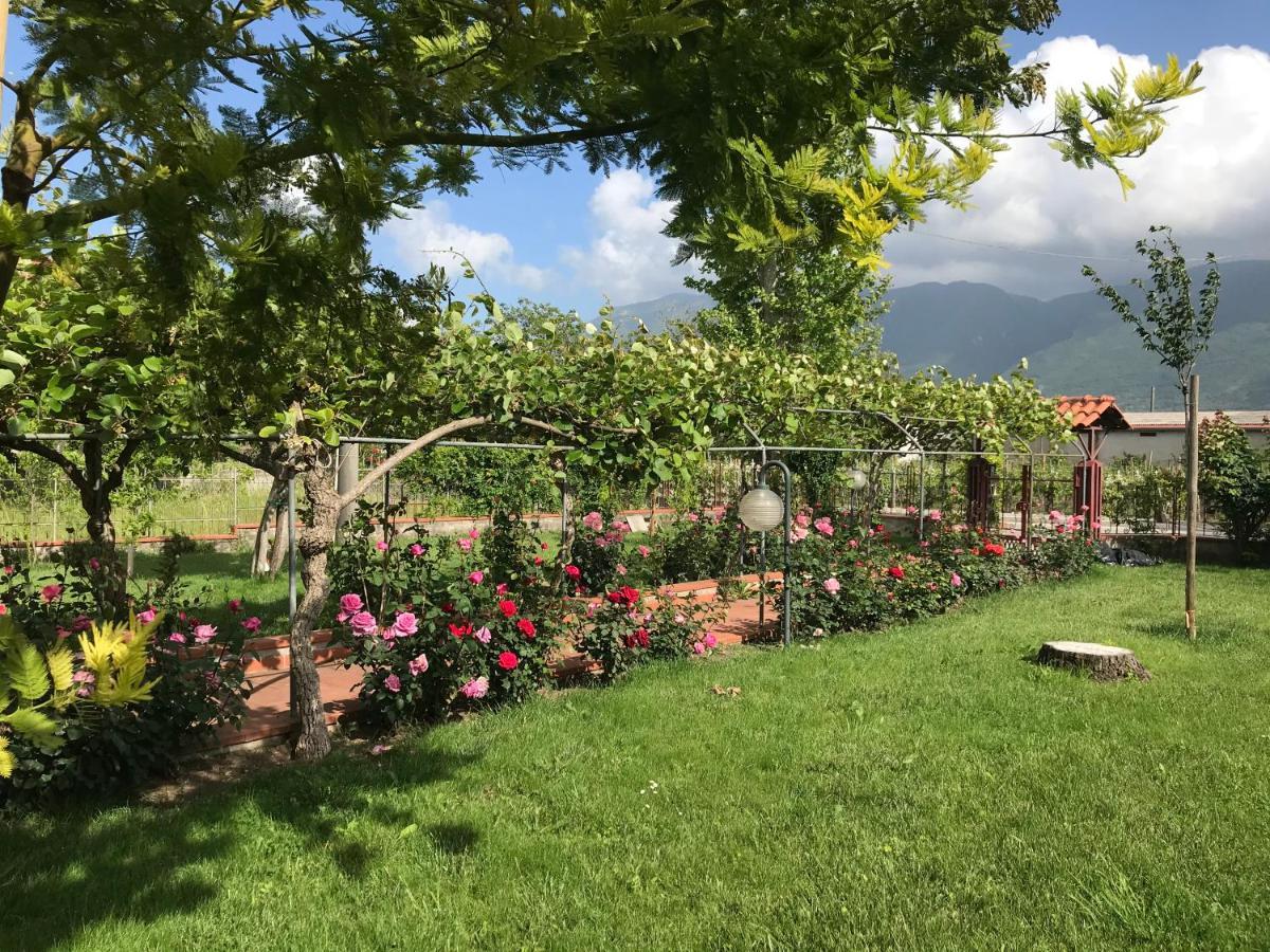 Alma Migrante Bed&Wine Hotel Telese Terme ภายนอก รูปภาพ