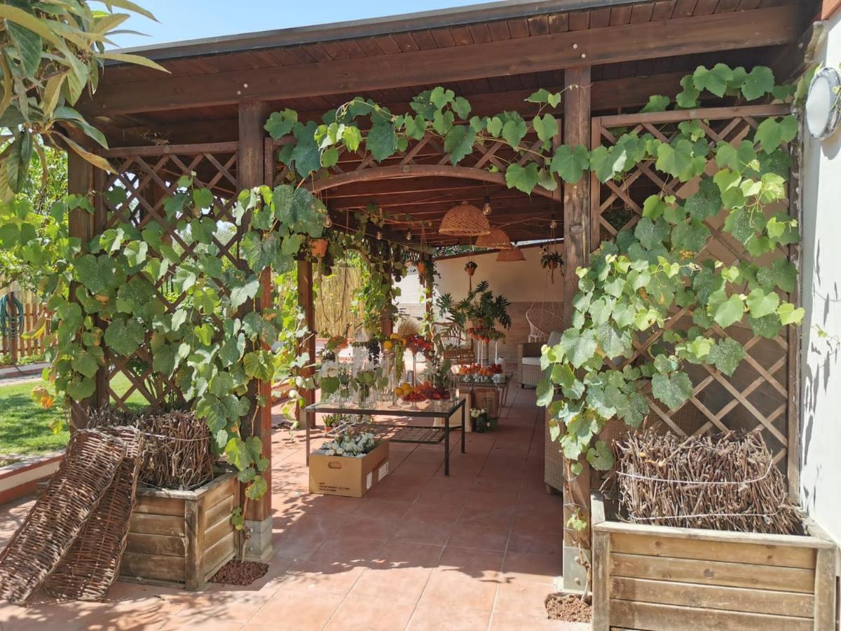 Alma Migrante Bed&Wine Hotel Telese Terme ภายนอก รูปภาพ